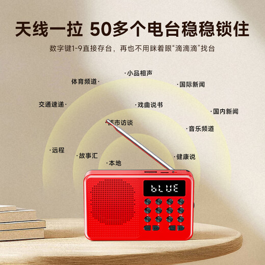 Newman (Newsmy) L1 radio for the elderly rechargeable plug-in card mini portable small opera player multi-functional small speaker 2025 new model