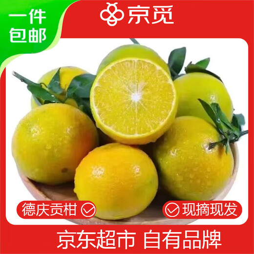 Jingmi Authentic Deqing Emperor Mandarin Fresh Fruit Tribute Mandarin Net 8.8Jin Jin equals 0.5kg Guangdong Single Fruit 60mm+ Straight from the Source