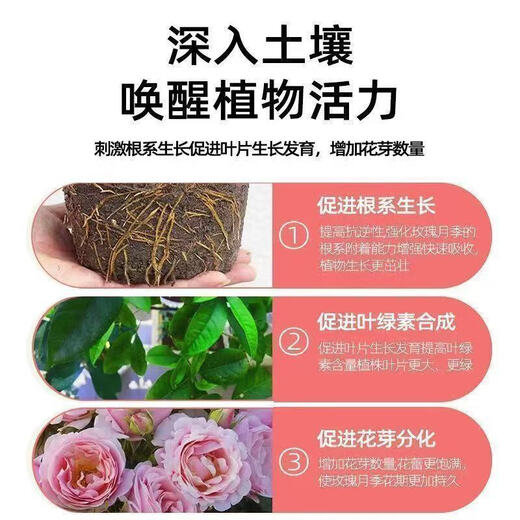 Plant bursting buds, buds, succulent leaf inserts, germination promotion, household flower growing fertilizer, old pile plant clear leaf fertilizer, old pile dry yellow leaves first aid, new buds grow, 2 barrels 5000ml