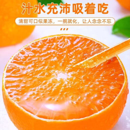 Jingmi Xiangshan Red Beauty Citrus, net weight 1.3Jin Jin equals 0.5kg, 4 pieces, single fruit 140g + Ehime jelly orange source straight hair