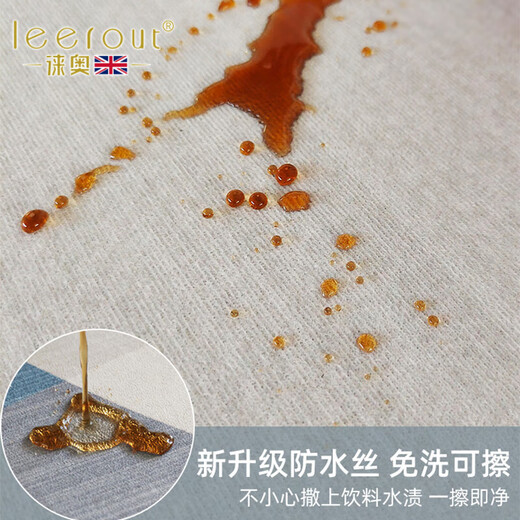 徕奥leerout客厅地毯免洗可擦沙发地垫大面积全铺房间高级感家用防水 简约13567号 300cm*200cm （耐磨耐用）