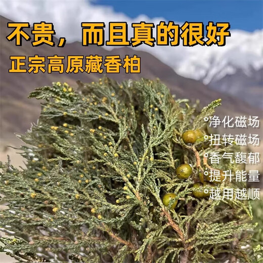 Tibetan Hair Straightening Authentic Plateau Tibetan Cedar Branches and Leaves as Crystal House Purifiers to Remove Pollution and Purify the Air Wild Tibetan Cedar Half Jin Jin is equal to 0.5 kg