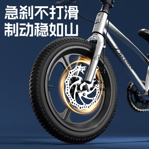 Phoenix children's bicycle mountain bike for little girls and boys 3-6-8-10-12-15 years old, super light with auxiliary wheels *Recommended high configuration - spoked wheels, titanium silver + gift pack 18 inches with auxiliary wheels + foot support