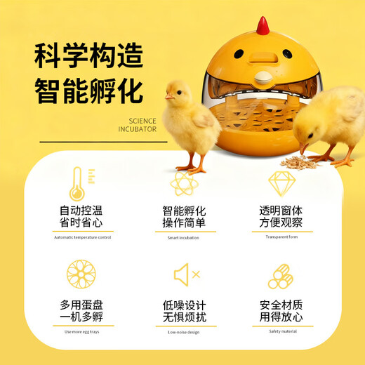 Padilin egg incubator automatic household small egg bird egg parrot rutin chicken pigeon constant temperature incubator