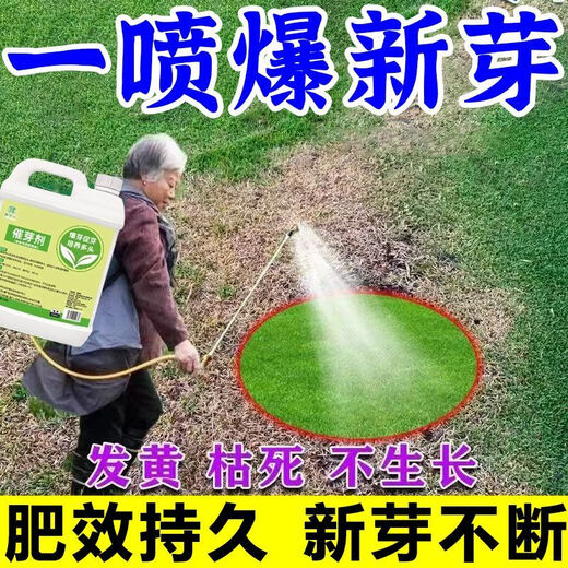Plant bursting buds, buds, succulent leaf inserts, germination promotion, household flower growing fertilizer, old pile plant clear leaf fertilizer, old pile dry yellow leaves first aid, new buds grow, 2 barrels 5000ml