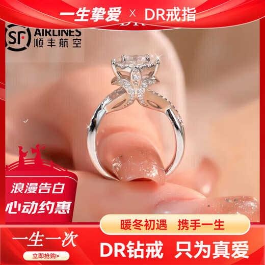 DR moissanite diamond ring platinum ring luxury wedding ring wedding diamond ring for girlfriend Royal Manor - 1 carat - US size 6 port number 12-13