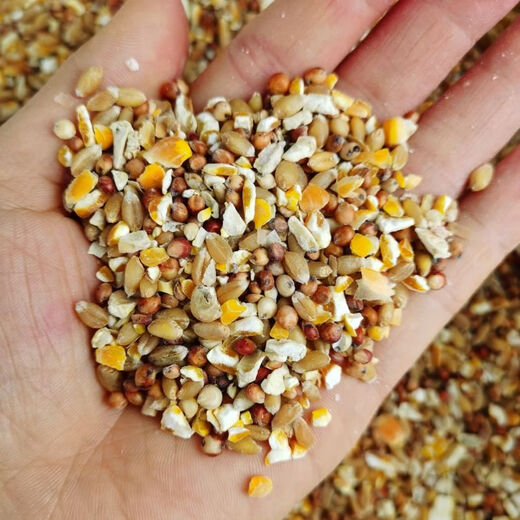 Sorghum, wheat and chopped corn mixed with chicken, corn crushed residue, corn grits, chicken and duck grain, pigeon grain, rabbit, pig, hamster, 3 Jin Jin equals 0.5 kg (sorghum + wheat + chopped corn mixed)
