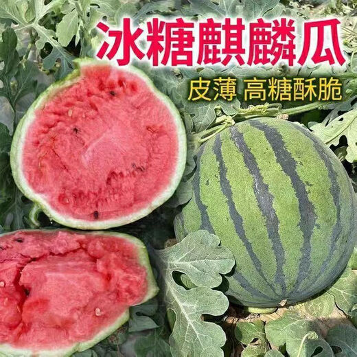Watermelon set, watermelon seeds, watermelon balcony potted farmhouse garden melon seeds, various types of rock sugar unicorn watermelon seeds, 1 pack, about 50 pieces