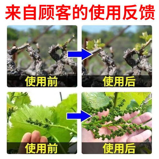 Taihui Li Cui Ya 50% Monocyanamide Ammonia Grape Peach Kiwi Fruit Tree Accelerating Bud Sleeping Agent Monocyanogen Ammonium Growth Regulator 250ml*8 bottles Production date September 25 Shelf life 2 years