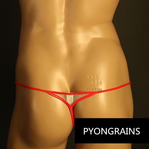 PYONGRAINS men's string thong mesh high elastic fine mesh pocket JJ exposed transparent thong mesh inner black S