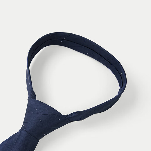 海澜之家（HLA）领带男时尚箭头形商务藏青正装领带男HZLAD5J022A 藏青花纹22 145cm