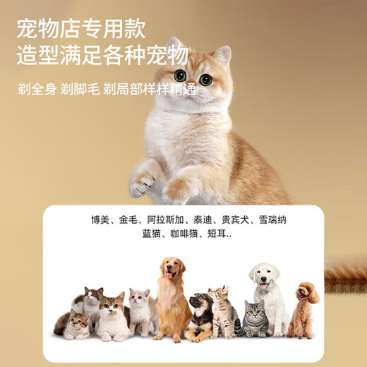 Pet shaver for trimming dogs and cats special artifact electric clipper for golden retriever Teddy pet hair clipper standard pet hair clipper