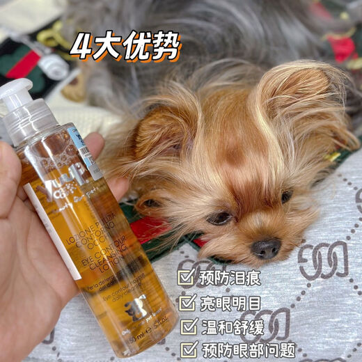 Yuup Eye Care Solution Yuup Italy Vinita Maltese Persian Cat Pet Tear Stain Cleaning 300ml - Liquid Witch Hazel Chamomile 300ml