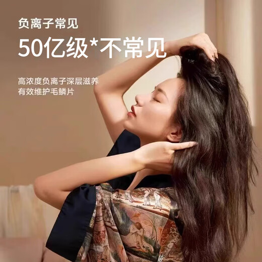Laifen upgraded version National 3C certification丨5 billion negative ions for hair care High-speed hair dryer household silent negative ions high power does not hurt hair Huaqiangbei hair dryer gift silver gray 5 billion moisturizing negative ions丨constant temperature speed