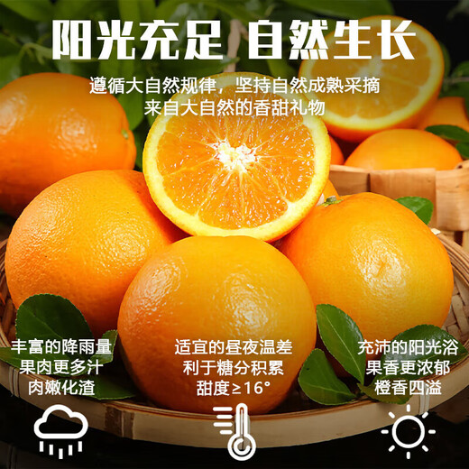 京地达江西赣南脐橙子新鲜水果节日送礼净重9斤单果230g+源头直发包邮