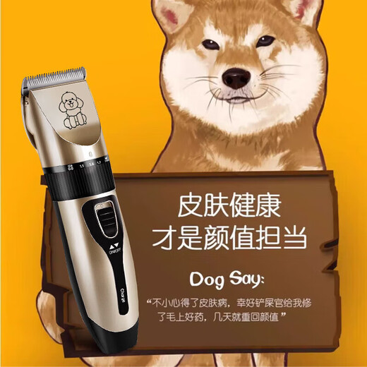 Pet hair clipper electric clipper for dogs and cats Teddy hair clipper special beauty high-power hair pusher pet hair clipper rich gold standard