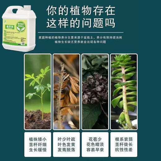 Plant bursting buds, buds, succulent leaf inserts, germination promotion, household flower growing fertilizer, old pile plant clear leaf fertilizer, old pile dry yellow leaves first aid, new buds grow, 2 barrels 5000ml