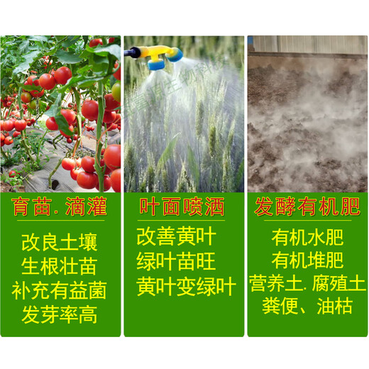 Yifuyuan em compost starter EM bacterial liquid stock solution special water fertilizer peanut bran organic fertilizer molasses oil dry cake fertilizer feces em bacterial liquid (1 bottle 1000 ml)