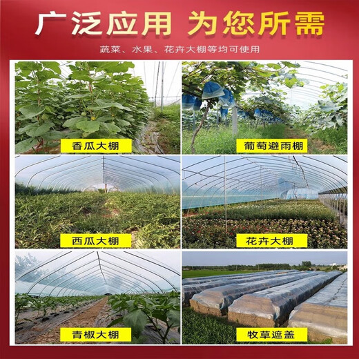 Imported high-transmittance crystal anti-fog PO film for greenhouse, plastic drip-free film, transparent thickened agricultural vegetable insulation, high-transmittance anti-fog blue PO film 12S (available for about 8 years) 4 meters wide, how many meters long do you need for customization, how many pieces do you need to order?