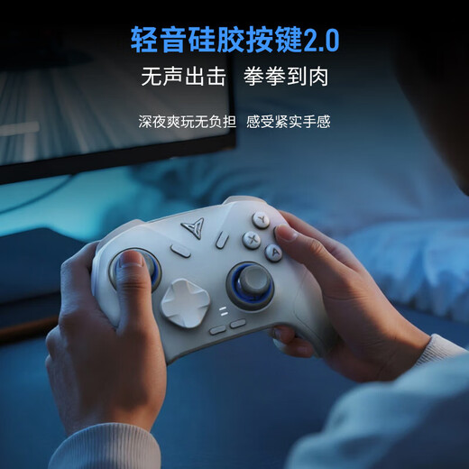 Feizhi Direwolf 3/Direwolf 4 multi-template wireless controller DW12C type xbox controller Switch/Steam Black Myth Wukong game controller Mingmo Yuanxu Feather controller Direwolf 4+ replaceable joystick set