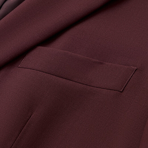 Qipai Wool Suit Men's 2025 Autumn and Winter New Business Formal Wool Suit Wedding Suit Two-piece Men's Burgundy Pants Adjustable Elasticity 175B B48 (175/96B)