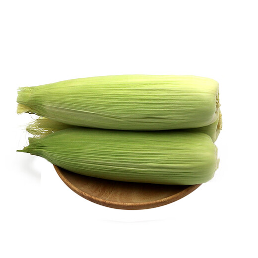 Good Farmer Baocai Shandong Fresh Fruit Corn Single Root 275g + Fresh, Sweet and Juicy 4-7 Roots Net Weight 4.6 Jin Jin equals 0.5 kg Straight from the source