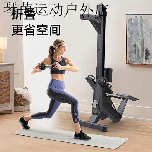 ICON rowing machine gym aerobic rowing machine home magnetic rowing NordicTrackRW3