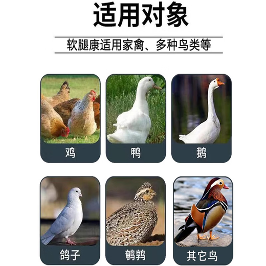 Freeze-dried powder for ducks, chicken, duck and goose diseases, freeze-dried powder, soft foot, lame disease, serositis, anti-viral veterinary breeding medicine, three bags, buy two, get one free