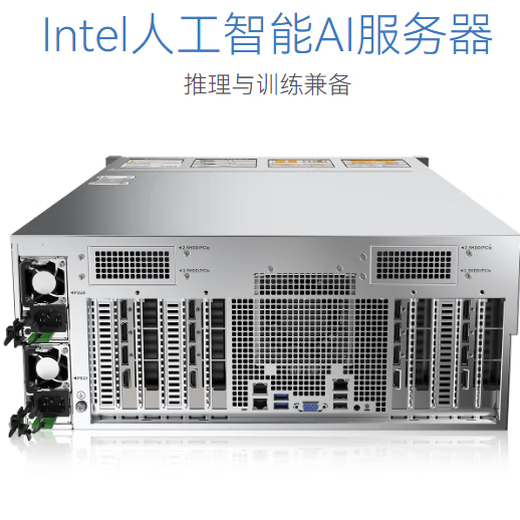 Rise Technology Intel deep learning/deepseek/artificial intelligence/large model training/5090/4090/A6000/A100/H100/4U rack/4GPU server Intel Xeon 6148 20 cores 40 threads *2 RTX PRO6000 96G GPU card *2