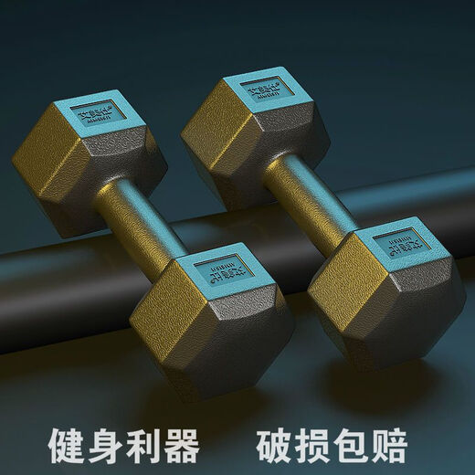 Shantou Lincun Hexagonal Dumbbell Men's Fitness Student 2kg 5kg Home 10kg Rubberized Arm Training Female Fitness Equipment Small Dumbbell Single 2Jin Jin is equal to 0.5kg (2Jin Jin is equal to 0.5kg -1kg -1kg is equivalent)