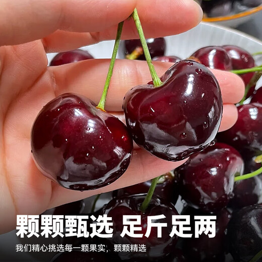Bachiguo imported cherries from Chile air-shipped large cherries in stock direct delivery gift box seasonal fruits for pregnant women 450g (net weight) large fruit J grade single fruit 6-8g