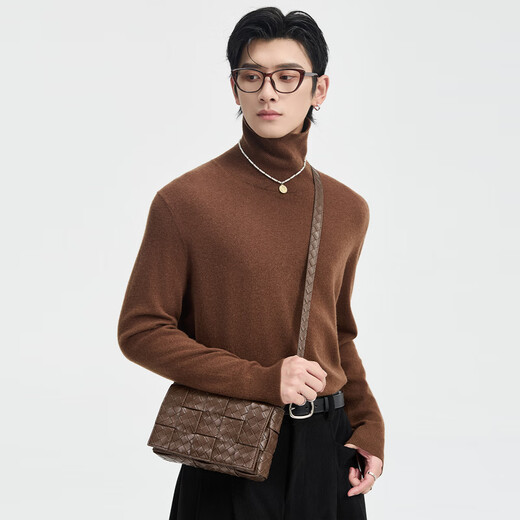 Earl Zall wool cashmere 25 autumn and winter solid color high-end knitted sweater men's turtleneck inner base sweater