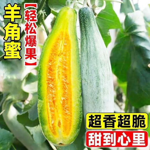 Croissant Melon Seeds, High Yield, Super Sweet Thin Skin Croissant Seeds, Balcony Flower Potted Fruit and Vegetable Seeds, Croissant Seeds, 3 packs of about 300 seeds