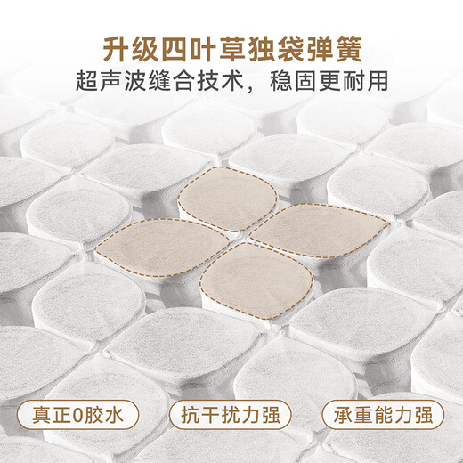 Quanyou Home U-label Good Sleep Mattress 1.8m Single Bag Spring 0 Glue Ridge Guard Thickened Mattress Removable and Washable Pressure Relief | 1.8m Mattress | Thickness 26cm