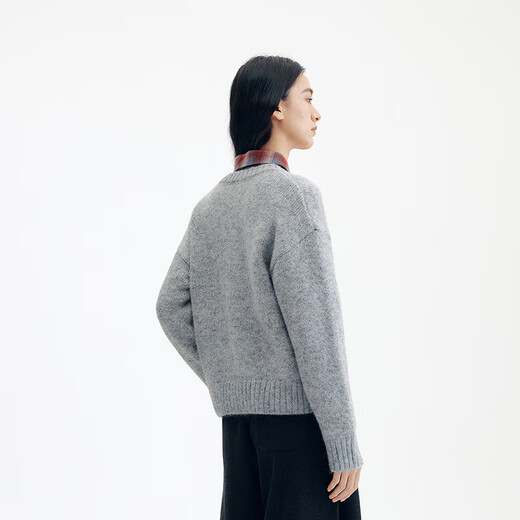 Flying Birds and New Wine Letters Flower Design Round Neck Sweater Women's 2025 Winter New Pullover Sweater Top Light Gray HCC01 S