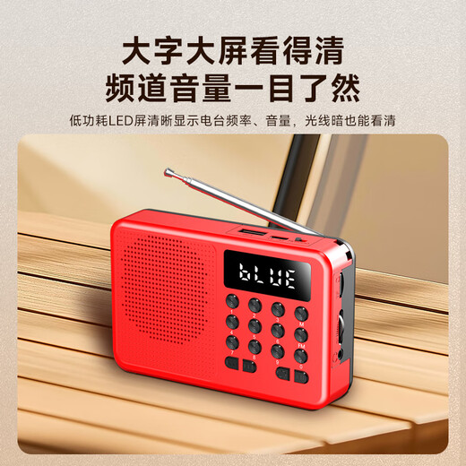 Newman (Newsmy) L1 radio for the elderly rechargeable plug-in card mini portable small opera player multi-functional small speaker 2025 new model