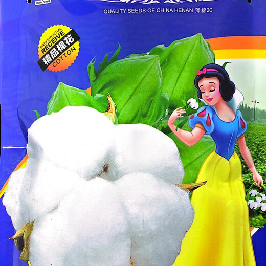 Qiuying lazy cotton cotton seeds for field planting, agricultural high-yielding spring seeds, insect-resistant cotton for all seasons, Snow White lazy cotton 10 grams, about 90 pieces