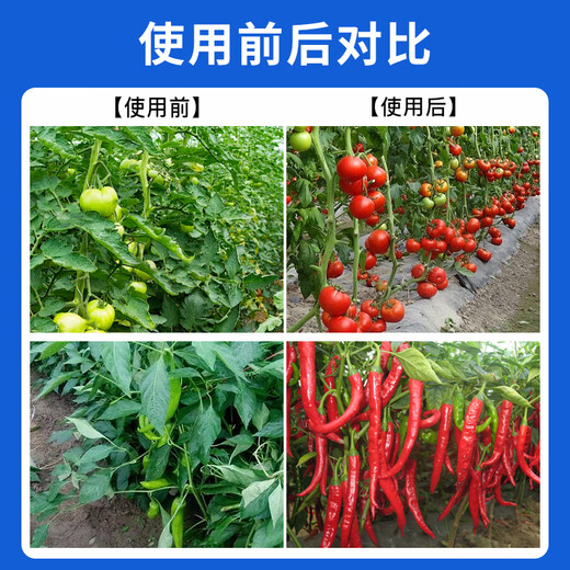 Potassium sulfate compound fertilizer, agricultural water-soluble fertilizer, slow-release fertilizer, general fertilizer for vegetables, flowers and fruit trees 100Jin Jin equals 0.5kg Agricultural potassium sulfate 50kg 5 packs, large quantity and price discount