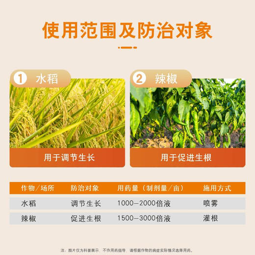 Guoguang Xiancuo 1% triacontanol + indolebutyric acid rooting agent to strengthen seedlings rooting powder rice pepper authentic 200g