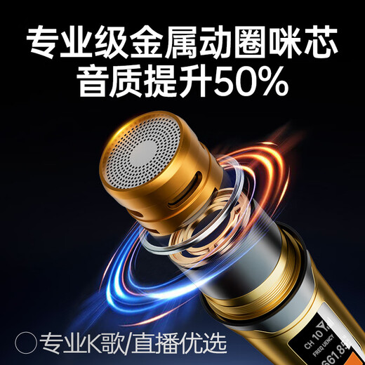 Jinzheng Rechargeable Wireless Microphone Wireless Microphone One to Two K Song Professional Singing Handheld Microphone Universal Home KTV Audio Speaker Special Double OK-12S Gold