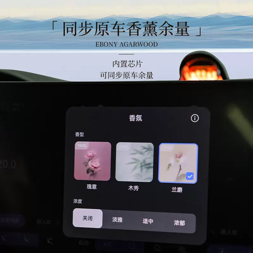 Yusenyi is suitable for Xiangjie S9 Car Aromatherapy Replacement Stick Aromatherapy Machine Replacement Core Fragrance Refill Perfume Accessories Xiangjie S9 Car Aromatherapy Replacement Stick (Mixed Pack) 3 pieces 1g