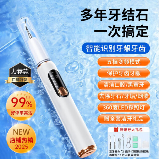 Sawang Germany Tooth Cleaner Household Calculus Remover Removes Smoke Stains and Yellowing Cleans Teeth Smoke Stains Tea Stains Tartar Calculus Scaler Dental Care Tool Silver White 3000W High Frequency Teeth Cleaning Protects Teeth and Gums