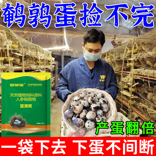 Luan magnetic quail egg-laying king, egg-increasing treasure quail, special egg-stimulating and egg-laying material to supplement nutrition and enhance physical fitness, quail eggs are abundant, quails lay eggs fiercely, 3 bags, lay eggs every day