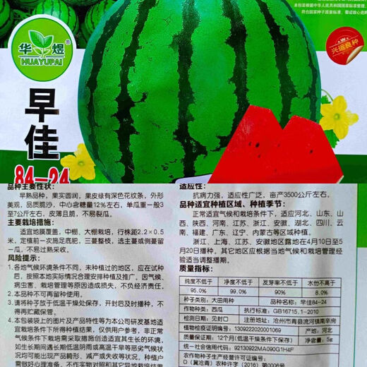 Watermelon Set, Watermelon Seeds, Watermelon Balcony Potted Plants, Farmhouse Garden Melon Seeds, Lazy Man King Watermelon Seeds, 2 packs, about 100 pieces