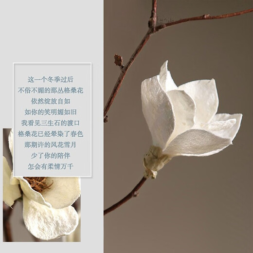 Magnolia nórdica flores secas de rama larga ramo grande ramas secas naturales de pie flores secas hechas a mano gabinete de entrada de rejilla abierta botella alta, pequeña y delgada blanca 40 cm + 2 flores secas de magnolia rosa altura total 100c