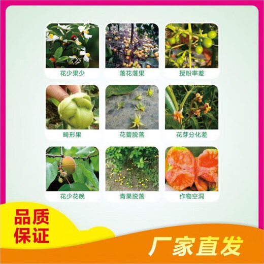 花多果多催花授粉促进坐果花芽分化提高授粉率 花多果多/五瓶兑水600斤