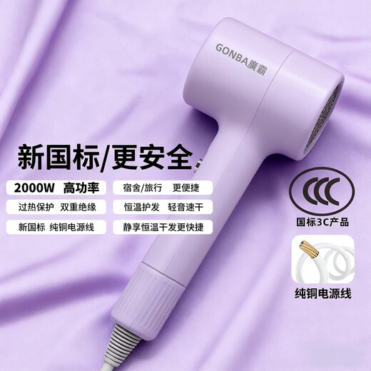 GUANGBA New National Standard Plasma Hair Dryer Hair Care Silent Quick-drying Anti-static Smooth Hair Dryer Hairstylist Special Barber Shop Home Quick-drying Negative Ion Hair Care Hair Dryer Lavender Purple New National Standard Safer 2000W + Styling Nozzle 1.8M Pure Copper Power Cord