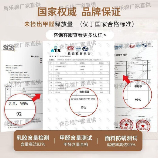 席梦思床垫家庭软硬两用独立弹簧床垫加厚20cm乳胶椰棕出租房床垫 希尔顿款丨E3高级房+臻享乳胶22cm厚】 1350mm*1900mm
