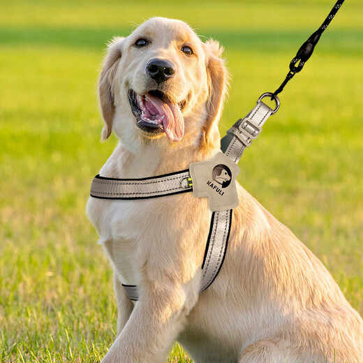 Dog leash harness, outdoor supplies, vest-style pet walking leash, medium-sized Shiba Inu French Bull Corgi collar, single harness - red S, recommended weight 8-12 Jin Jin equals 0.5 kg