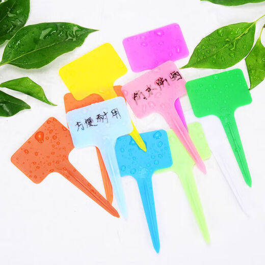 Colorful thickened T-shaped plastic gardening label succulent plant flower name waterproof and sun-resistant ground label with pen pink 20 pcs + pen